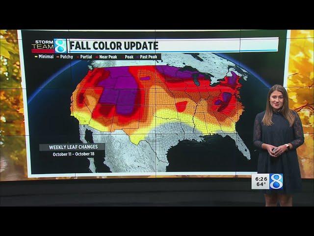 Storm Team 8 update on fall foliage forecast