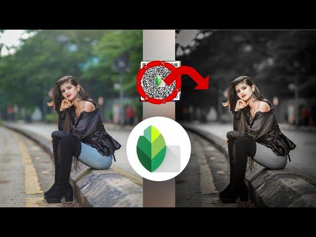 Snapseed new QR codes free Download 2024 face editing presets for Snapseed app