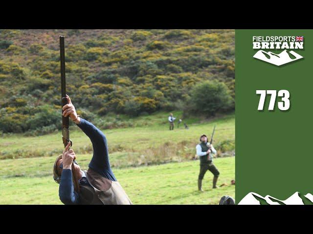 Fieldsports Britain – spot the partridge