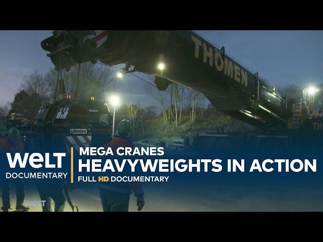 GIANTS IN GERMANY: Mega cranes - Heavyweights in Action | WELT Documentary