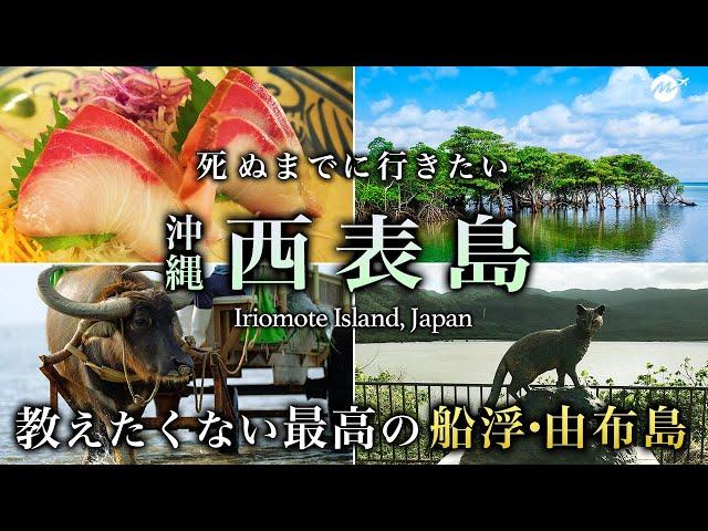 2 days 1 night solo travel model course in Iriomote Island, Okinawa