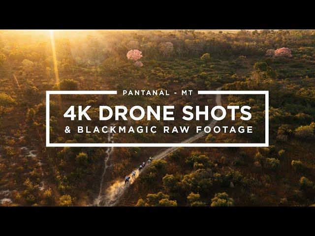 PANTANAL - MT | 4K DRONE SHOTS & BLACKMAGIC FOOTAGE