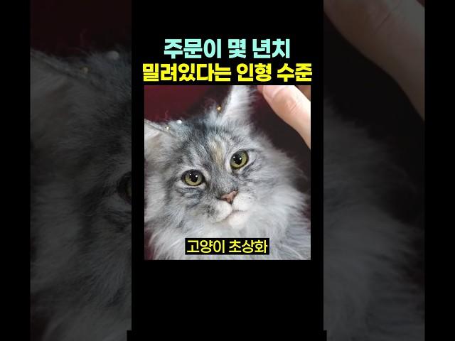 주문이 몇 년치 밀려있다는 ‘인형’ 수준.. ㄷㄷㄷ