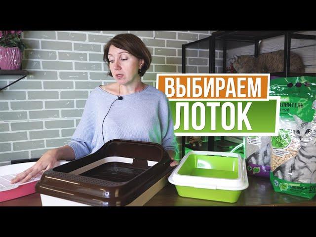 Как выбрать лоток для кошки   Виды лотков для кошек