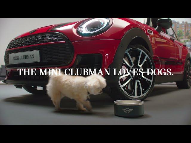 MINI CLUBMAN x DOGS | MINI Events and Partnerships | MINI UK