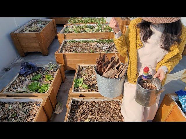 [city farmer kkotnim #77] What I do during the winter for farming this year /Making good soil