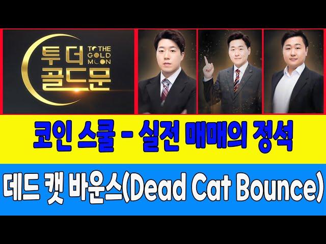 코인 스쿨 - 실전 매매의 정석/데드 캣 바운스(Dead Cat Bounce) (코인한수, 코인가드)