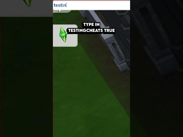 How To Fully Edit Any Sim