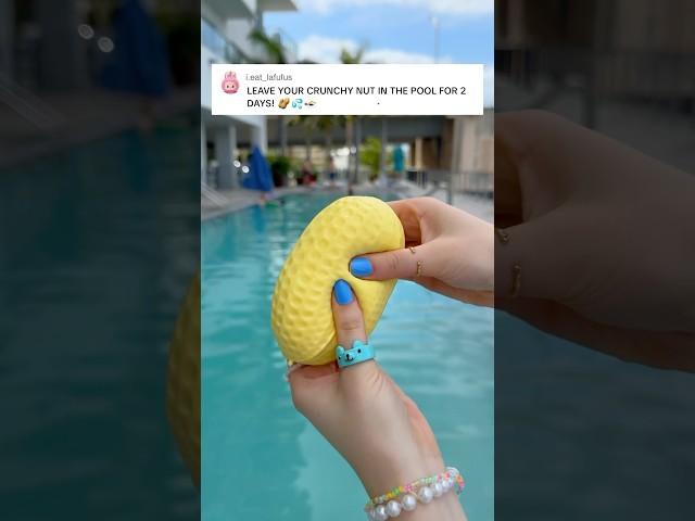I LEFT MY CRUNCHY STRESS BALL IN THE POOL FOR 2 DAYS! 
