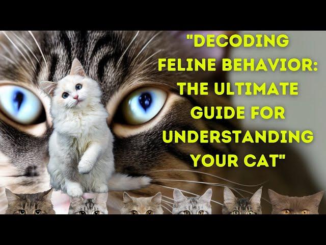 "Decoding Feline Behavior: The Ultimate Guide for Understanding Your Cat"