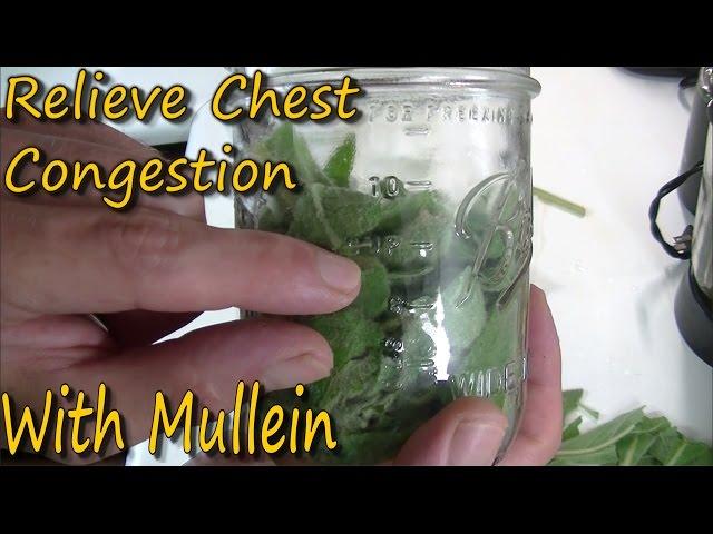 How To Make Mullein Tincture & It's Uses