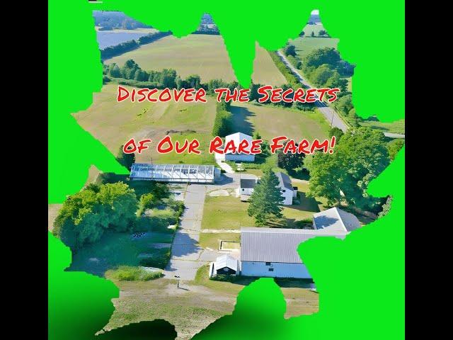 Uncover this Rare Farm in the City Simcoe, Norfolk  Price 1.99 million$