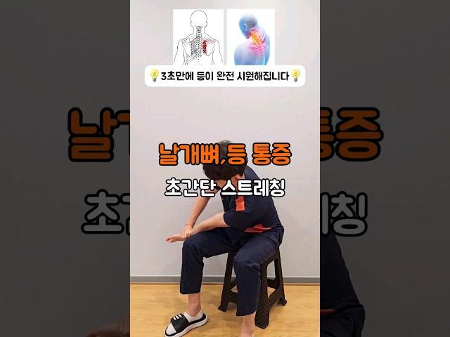  날개뼈, 등통증 초간단 스트레칭#홈트 #홈트레이닝 #스트레칭 #체형교정 #라운드숄더 #등통증 #등결림 #등스트레칭 #날개뼈통증 #homeworkout #물리치료사신금동