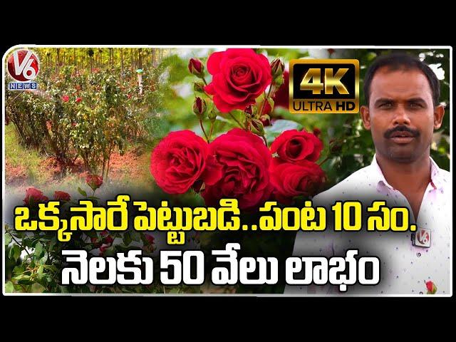 Man Earns Huge Profits With Rose Flowers Farming | Ranga Reddy | V6 News