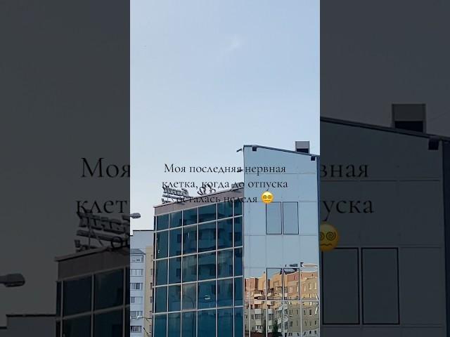 Моя последняя нервная клетка