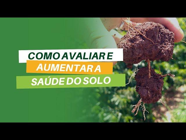 Como avaliar e aumentar a saude do solo