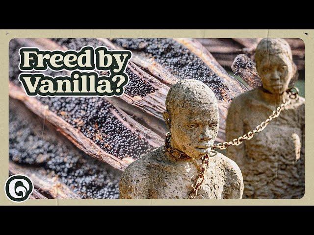 Why Is the History of Vanilla so Terrifying?