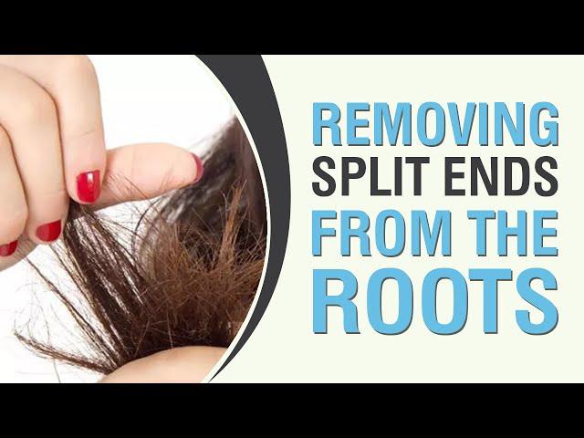 How to remove split ends from the roots? - Dr. Amee Daxini