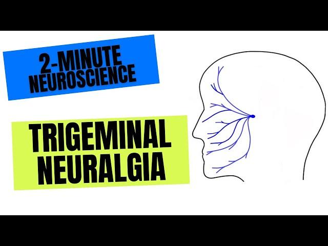 2-Minute Neuroscience: Trigeminal Neuralgia