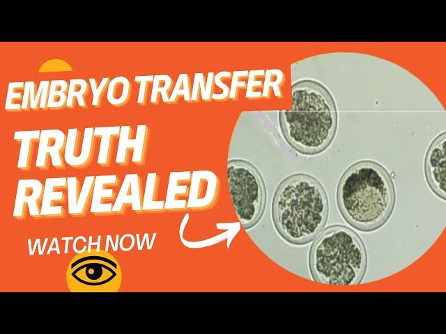 Separating Fact from Fiction: Embryo Transfer Explained GNP Sir