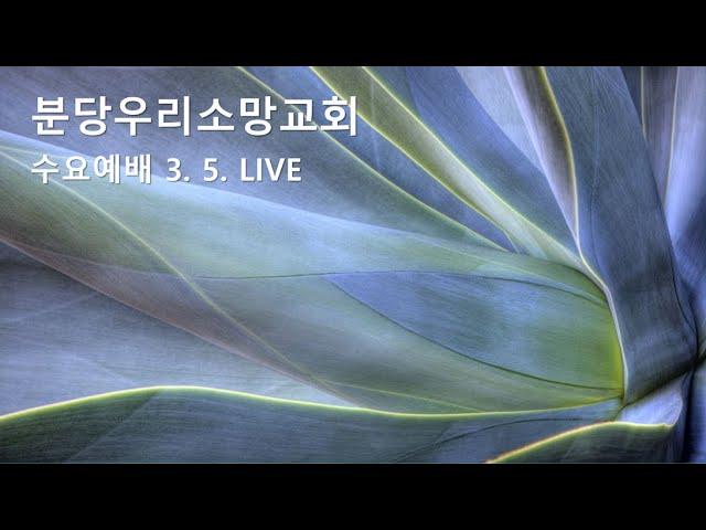 바라는 것 (히 11장 1 ~2절) | 강영석 부목사 | 분당우리소망교회 수요예배live | 2025. 3.5.