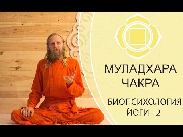 БИОПСИХОЛОГИЯ ЙОГИ-2. МУЛАДХАРА ЧАКРА.