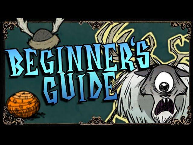 EASY Winter Survival | Don't Starve Together Beginner Guide Part 4