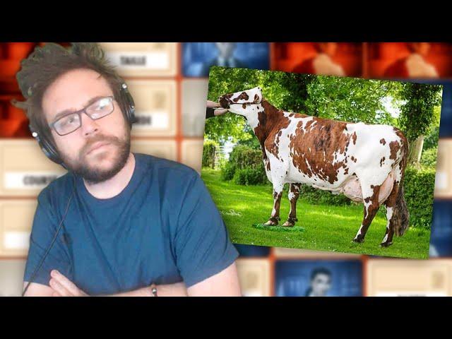 LA VACHE NORMANDE | CodeNames