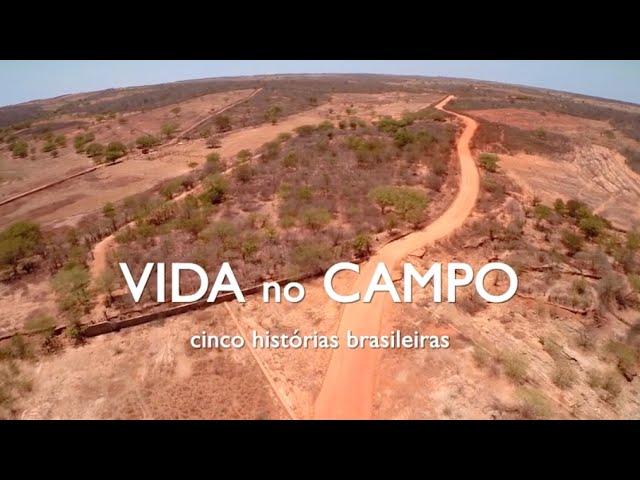 Vida no Campo