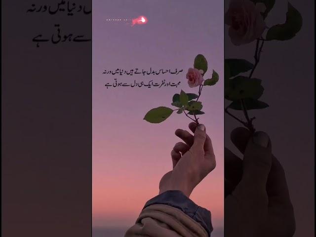 Aqwal e zareen in urdu | urdu quotes | urdu poetry | urdu shayari #shorts #short