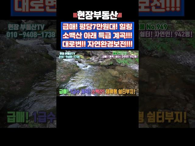 소백산 계곡 옆 자연인 땅 주말농장 942평 #급매 #계곡 #주말농장 #자연인 #소백산 #용부원리