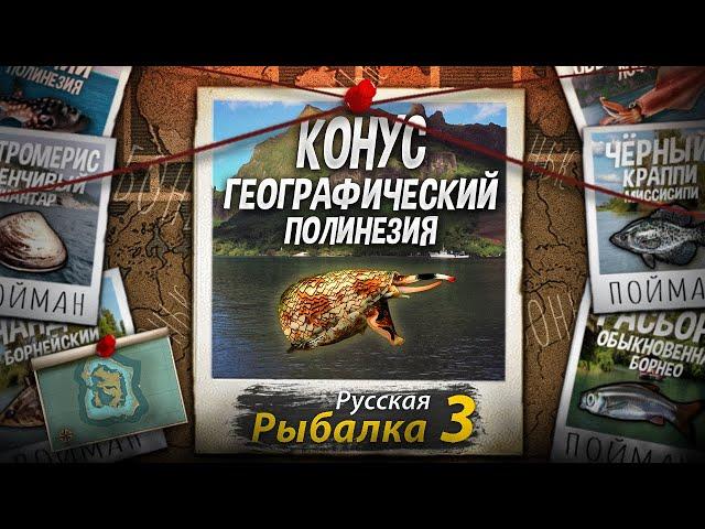 "Мутант" Конус Географический. Полинезия. Русская Рыбалка 3