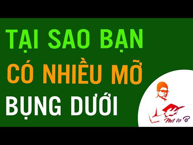  Nguyên nhân hình thành Mỡ bụng dưới?