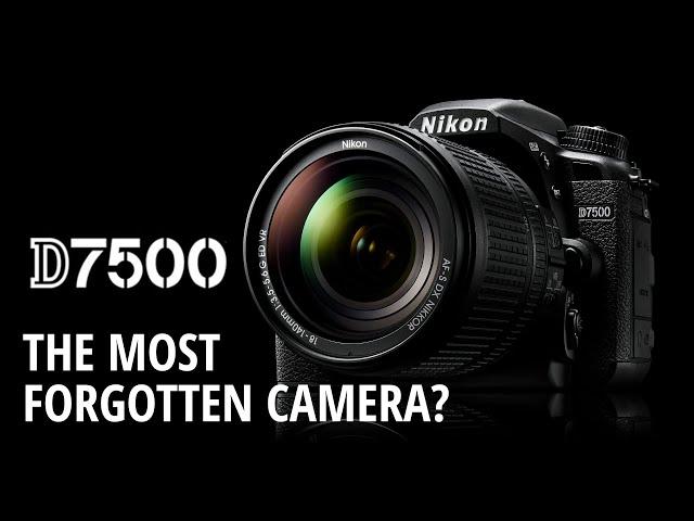 NIKON D7500 Review - The most forgotten camera?