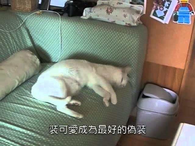 本事文化《我愛陳明珠》2012.6月即將出版