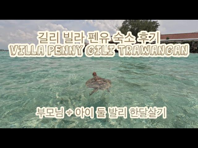 길리 빌라 펜유 숙소 후기 Villa Penyu Gili Trawangan - 아이와 발리 한달살기 숙소 / 3대 발리 한달살기 / 길리 윤식당