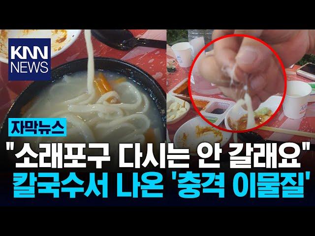 "소래포구를 아직도 가?" 칼국수서 나온 이물질 '경악'  / KNN