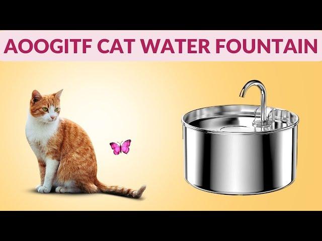 AOOGITF Cat Water Fountain Review: Best Cat Water Fountain For The Money #cats #catlover #gadgets