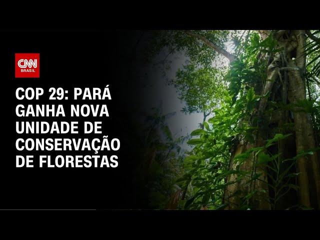 COP 29: Pará ganha nova unidade de conservação de florestas | CNN NOVO DIA