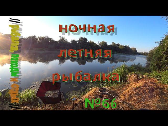 Летняя рыбалка на реке . Ночная рыбалка