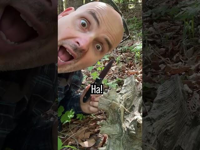 This Sound will save your Life!  Survival Fire Starter Hack #survival