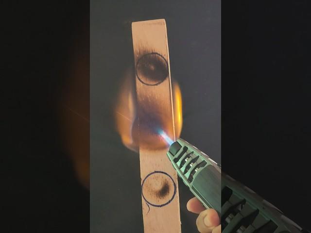 LIGHTER  VS STICK...!! #shorts #lighter #experiments #satisfying #burntest #stick #fire #funny