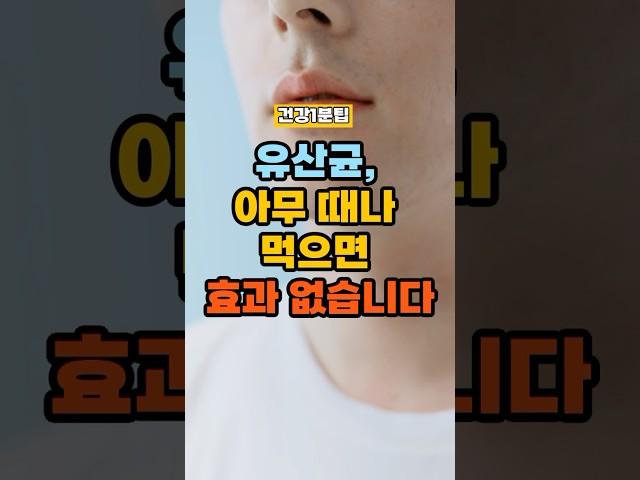 유산균, 아무 때나 먹으면 효과 없습니다. #건강정보 #건강한중년 #건강