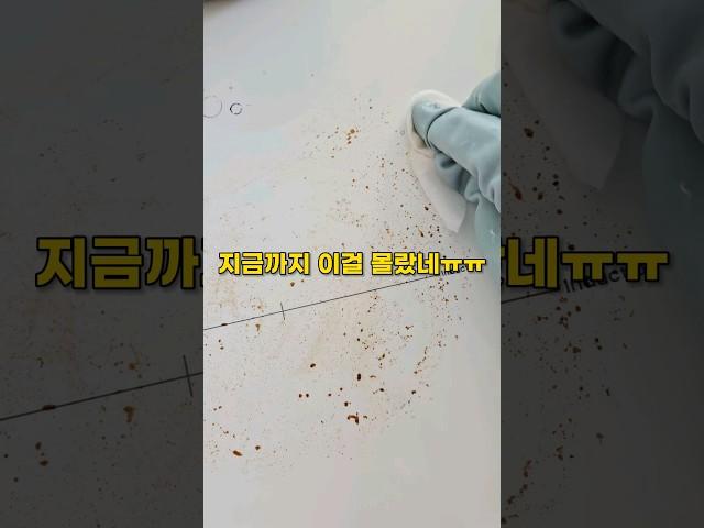 지금까지 이걸 몰랐네! 인덕션 자국 지우기 #살림팁