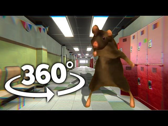 Rat Dance 360° - In YOUR School | VR/360° Experience ( Rat Dance meme )