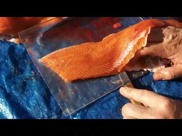 How to FILLET a Dolly Varden...EXCELLENT!!!