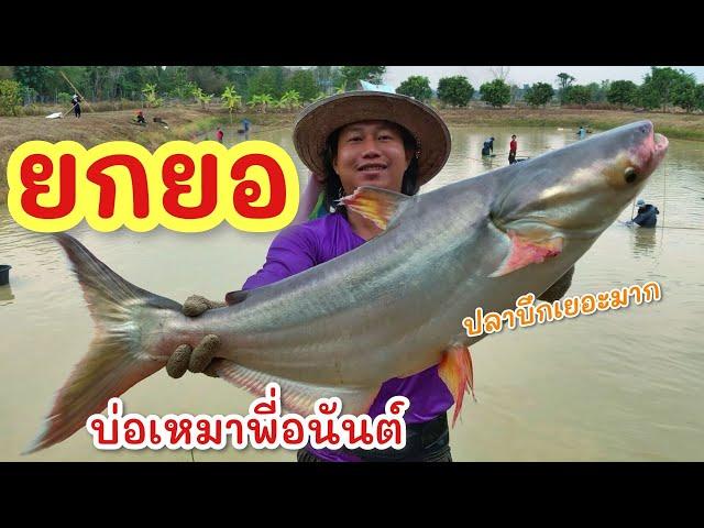 ยกยอ ปลาบัตร1000.-฿ ►Fishing lifestyle Ep.752