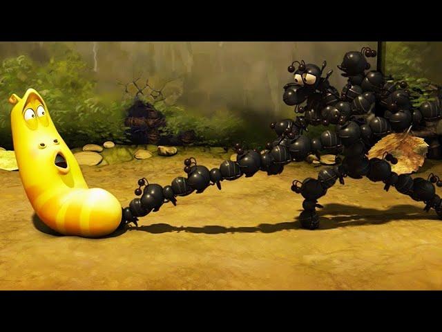 LARVA | ANT ATTACK | Cartoons for children | WildBrain