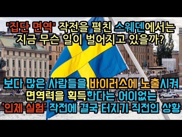 '집단 면역' 작전을 펼친 스웨덴에서는 지금 무슨 일이 벌어지고 있을까? '인체 실험'과 다를바 없는 어이없는 작전에 결국 반발심이 커지고 있는 스웨덴의 현재 상황