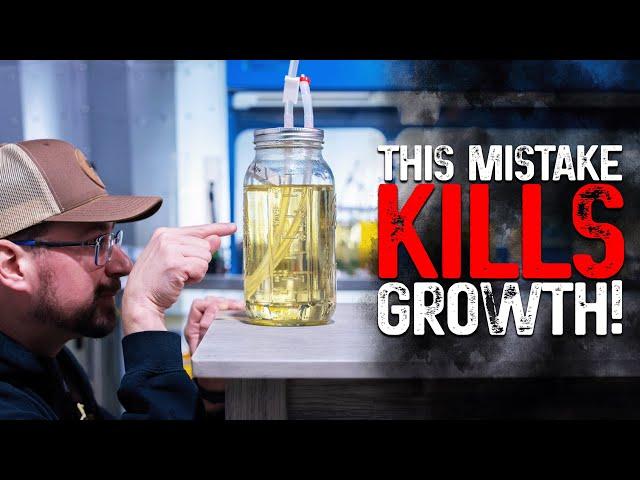 Why Your Mushrooms Won’t Grow & How to Fix It – Liquid Culture, Grain Spawn & Fruiting Secrets